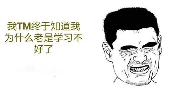 网上教程那么多为什么你还是学不会SEO
