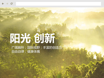 深圳第二外国语学校(中文版)官方网站设计制作