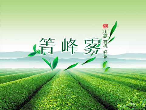 鹿裕茶业官方网站设计制作