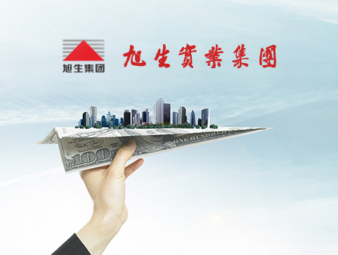 旭生pc中文版官方网站设计制作