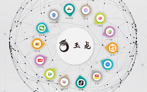 玉龙传媒官方网站设计制作