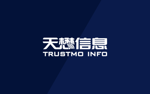 天懋信息官方网站设计制作
