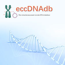 染色体外环状DNA数据库-宝安妇幼保健院