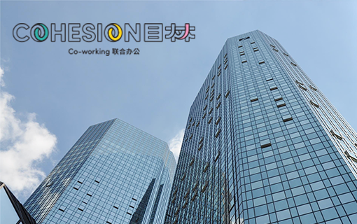 目林官方网站设计制作