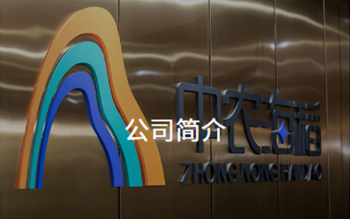 中农海稻官方网站设计制作